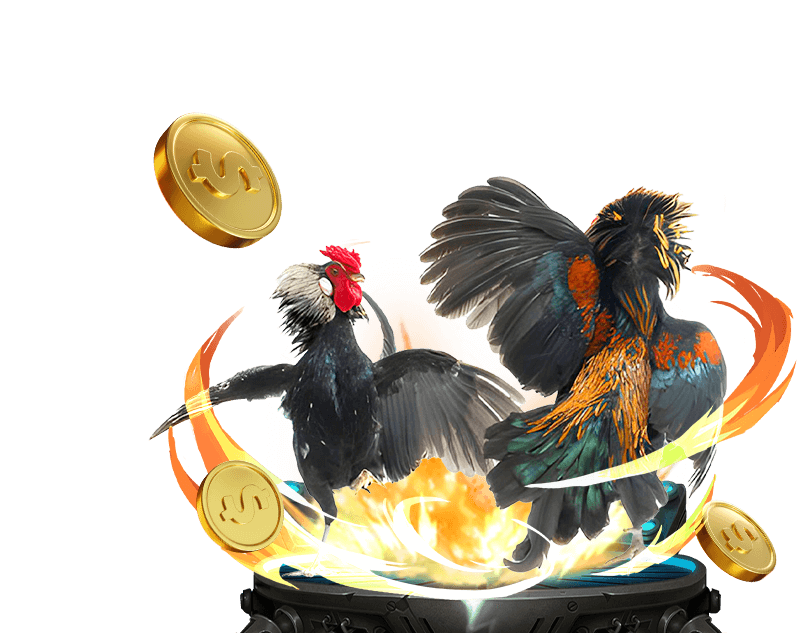 Đá Gà trực tuyến ee88